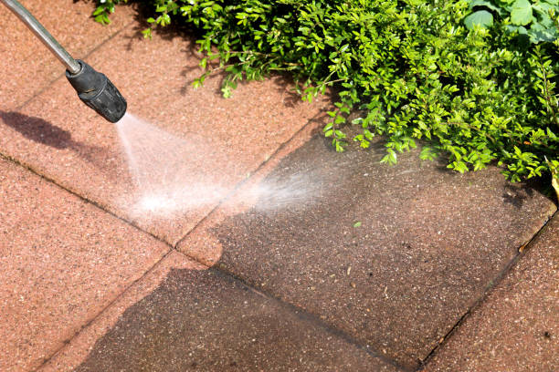 Best Power Washing Near Me  in Alanes Ridge, CA